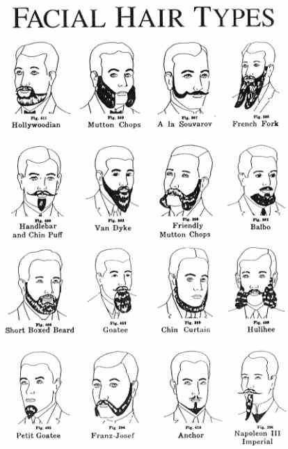 http://www.ur-ban.com/galleryv2/d/13942-1/beards.png